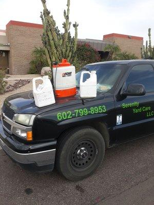 We like to pull as many weeds as possible before considering weed control chemicals.