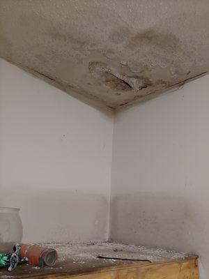 Fixing the repair ceiling in garage from a water leak