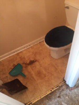 Water damage clean up