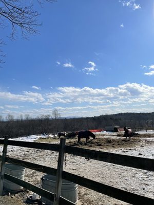 Saratoga Lake Equestrain Center