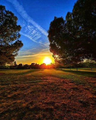 Evening sunset view in park