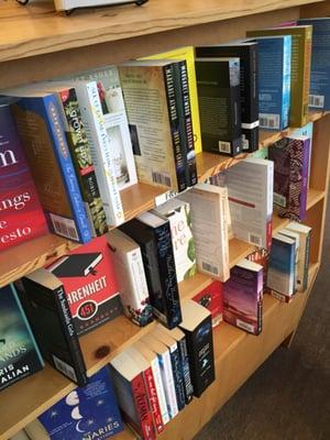 Shelves at Lucy's Books