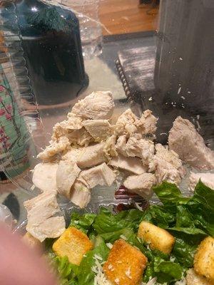 Grilled chicken salad