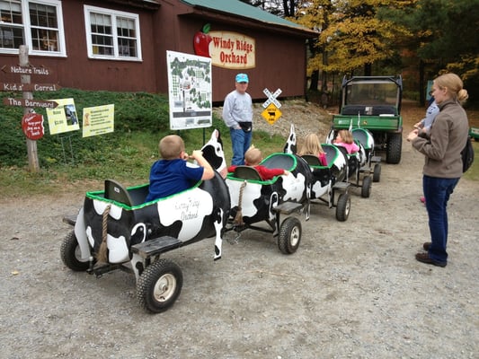 Cute cow ride for the kids.