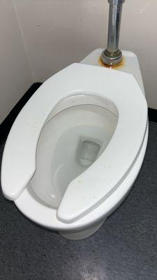 Toilet with pee ALL OVER