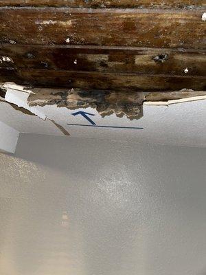 Mold growth on wood decking and drywall ceiling due to Roof leak