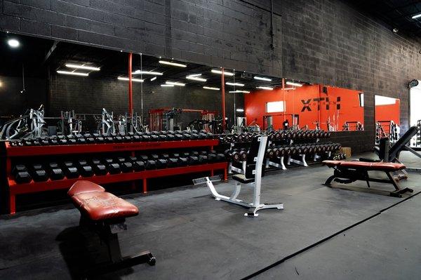 Dumbbell area