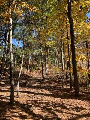 Peaceful trail