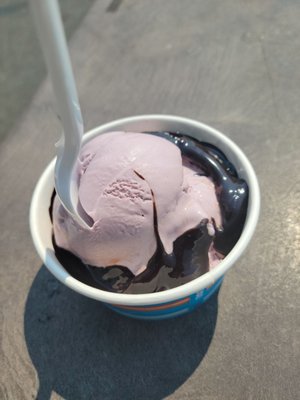 Black Raspberry with hot fudge