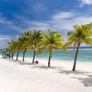 Untouched Cook Island Beach