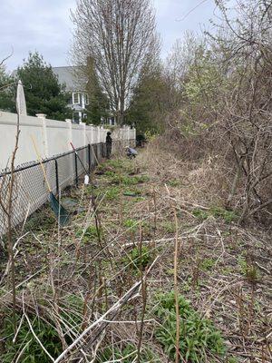 Teen Green Landscaping