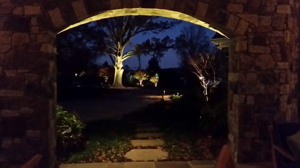 Archway lighting, large tree lighting