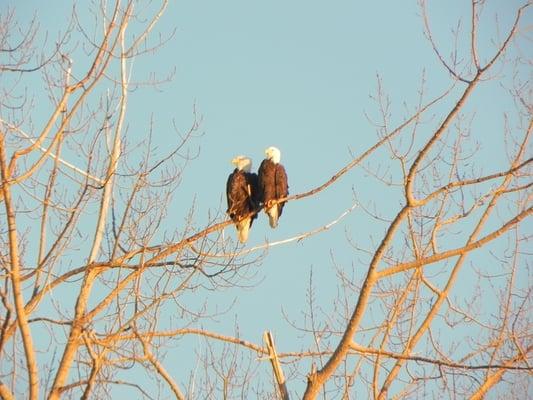 Visit Brainerd