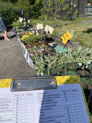 Master Gardener plant sale was IMPRESSIVE!