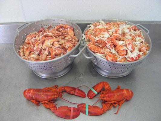 yum! Fresh picked lobster meat!