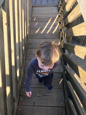 Happy child on plank bridge