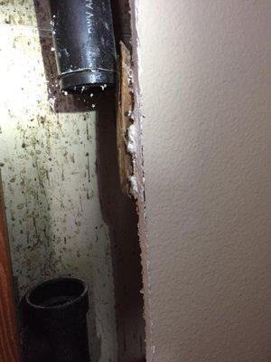 Hole in the piping where rats entered the drywall.