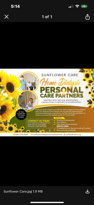 Sunflower Care