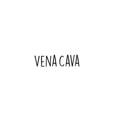 VENA CAVA LOGO