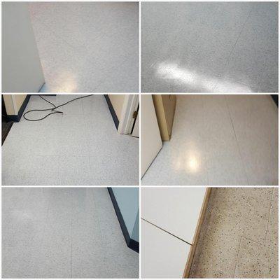 Prestige Floors Tech and Carpet Cleaning