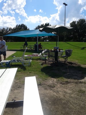 Plenty of picnic tables and shade