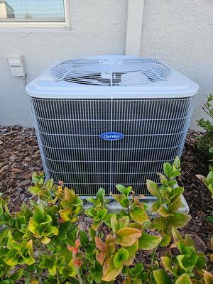 AC services in Wesley Chapel