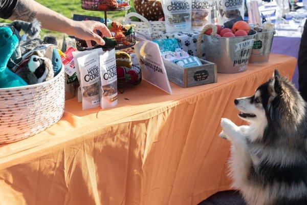 Paws for Happy Hour! Leroy Street Dog Run event!