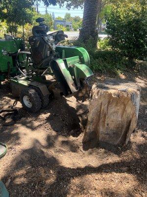 Stump grinding