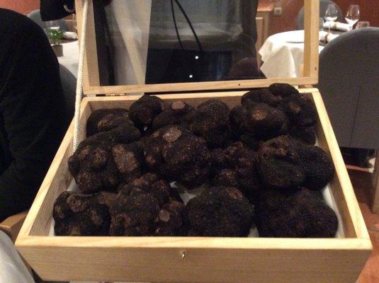 Truffle Dinner in Cahors.