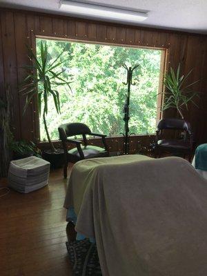 Gorgeous window overlooking outdoor foliage.