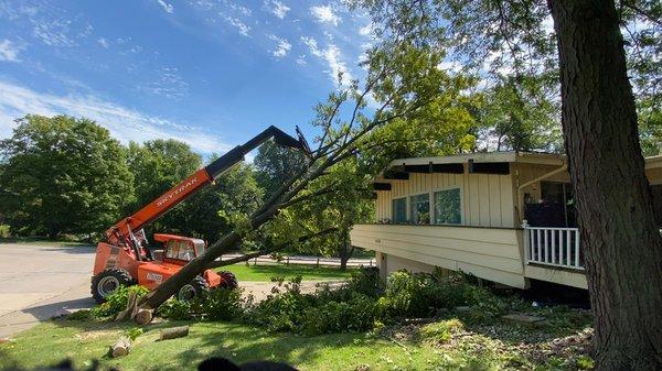 Tree Removal / Storm Clean-Up