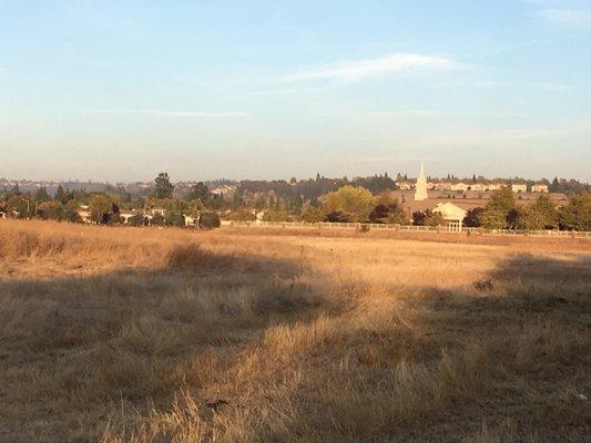 Evening Light - NOV 2018. #eveninglight #rocklinparks #rocklinca #rocklin #lovewhereilive #lovewhereyoulive #placercounty