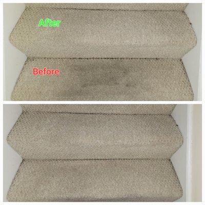 Carpet Cleaning