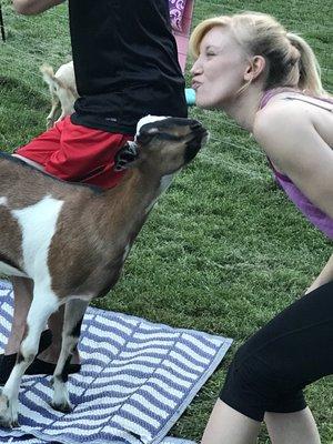 Goat yoga kisses