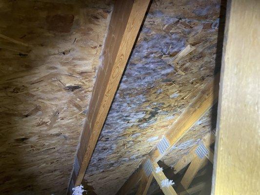 Mold in attic due to improper attic ventilation