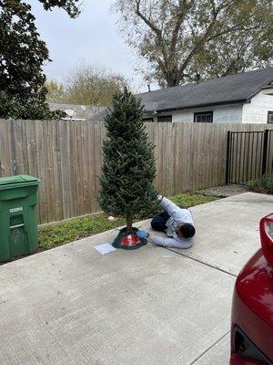 Nice young man who offered to set our tree up.