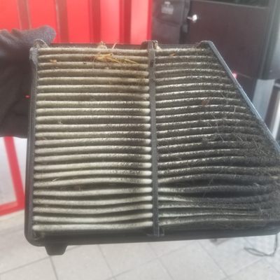 Disgusting-air intake filter