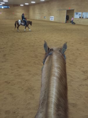 View inside arena (currently on horse)