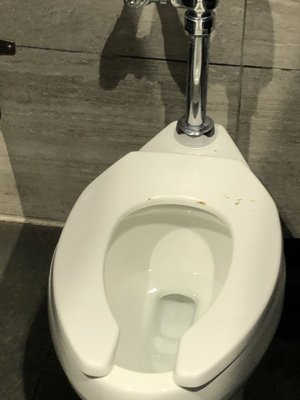 Poop on seat