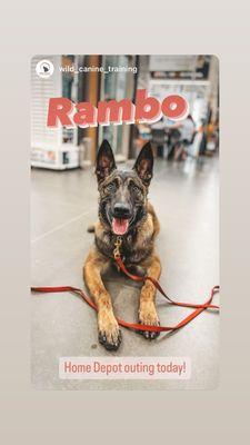 Rambo