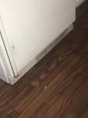 Floor damage