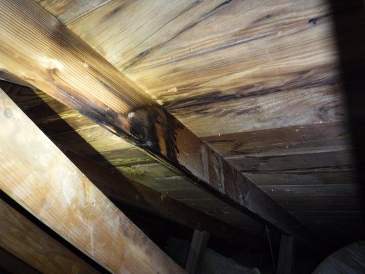 Active roof leaks found during home inspection