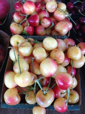 Reiner Cherries