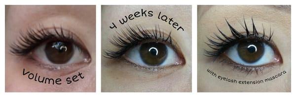 Silk volume lashes. They still look full after 4 weeks! The third picture is how they would look with eyelash extension mascara.