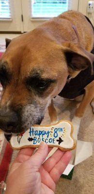 My pup LOVED his birthday cookie!  The scarf was super cute got it when I picked up his cookie.  The staff was very nice.