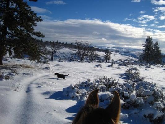 A winter trail ride along Rock Creek Canyon.