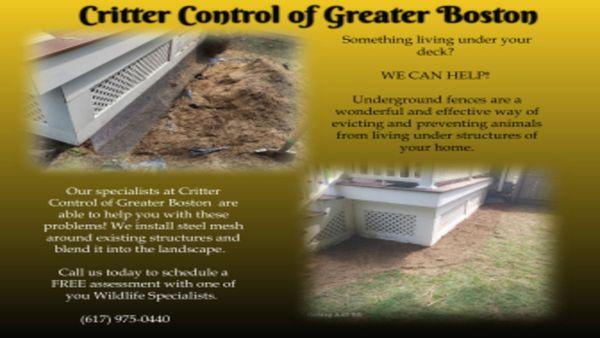 Critter Control of Greater Boston North