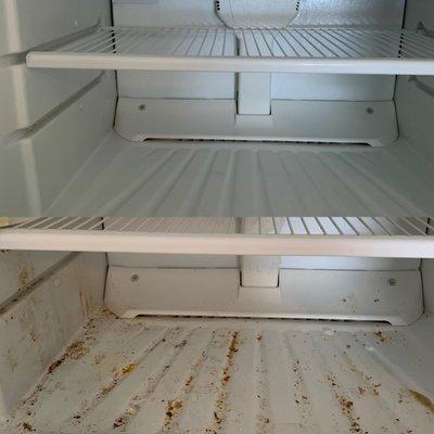 Freezer before/after