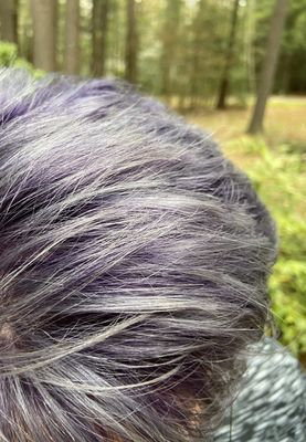 New Color. This color correction went from brown and copper to silver with a purple smudge root and purple babylights.