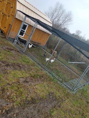 We have a couple customers that have made cute chicken house with our Barns